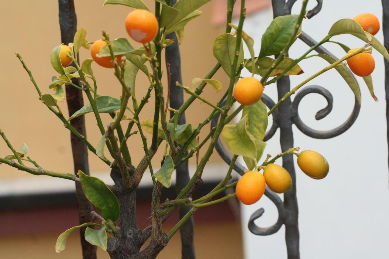 Casa vacanze Aloha Giardini Naxos Esterno foto